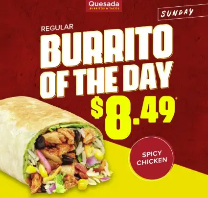 Spicy Chicken Burrito image