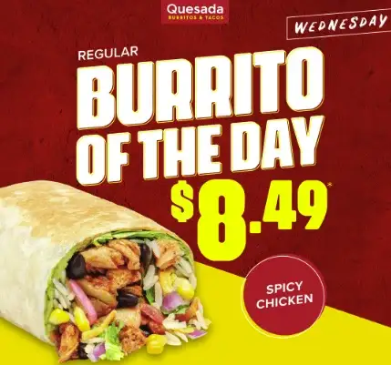 Spicy Chicken Burrito image
