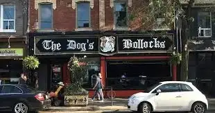 The Dog's Bollocks - Queen St W - Toronto image