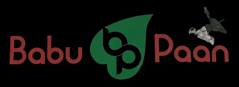 Babu Paan - Pertosa Dr - Brampton image