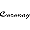 Caraway image