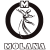 Molana image