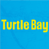 Turtle Bay - Birmingham image