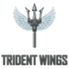 Trident Wings image