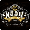 The Nelson Pub & Appetite image
