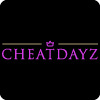 CheatDayz image