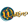 Wellino Pizza image