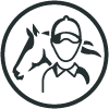 Horse and Jockey image