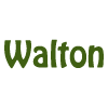Walton Kebab & Pizza image