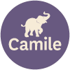 Camile Thai - Lisburn Road image